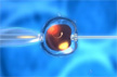 In a first, Karnataka govt to start IVF centre at KMC Hubballi
